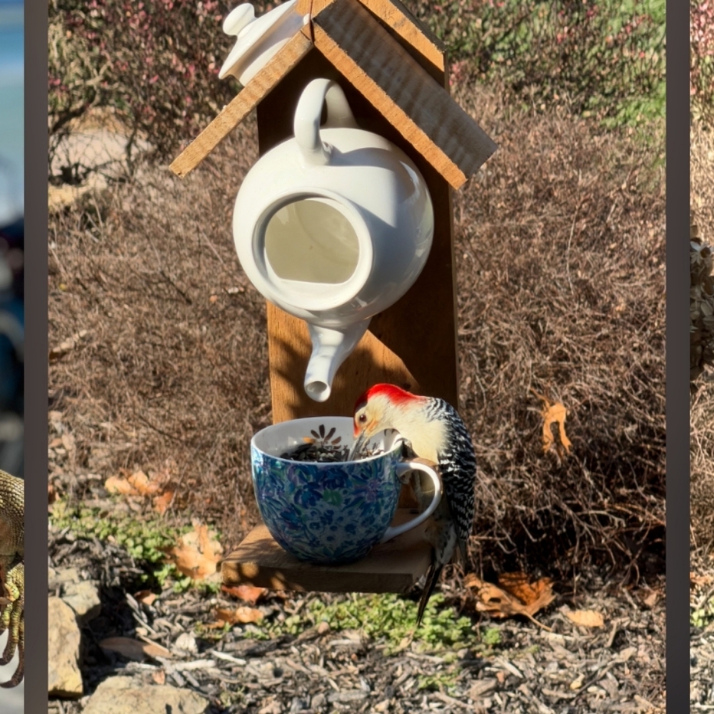 Rustic Wooden Handcrafted Bird Feeder Teapot Blue Bird Cafe - Picture 15 of 16